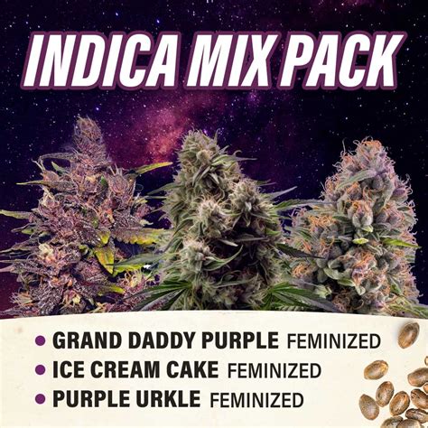 LATEST MIXED PACK Premium Collection December Update