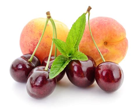 Cherry Apricots - cherryapricots