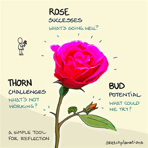 Rose Bud (OF) 7GB Updated Collection