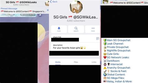 [MEGA] T𝐢𝐤𝐓𝐨𝐤𝐏𝐮𝐭𝐚𝐫𝐢𝐚@Telegram LeakGroupe