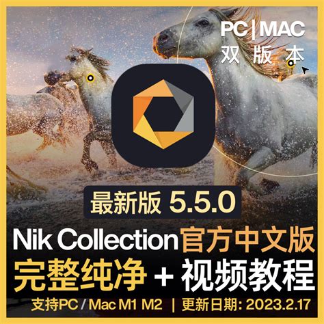 vSiterip - Public Agents Part 2 Premium Collection 201.21GB - MEGA