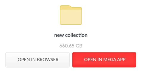 600gb leak siterip mega link