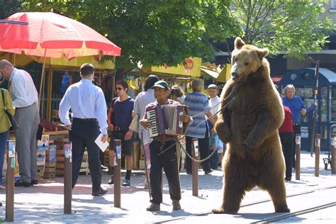 Dancing Bear leaks compilation