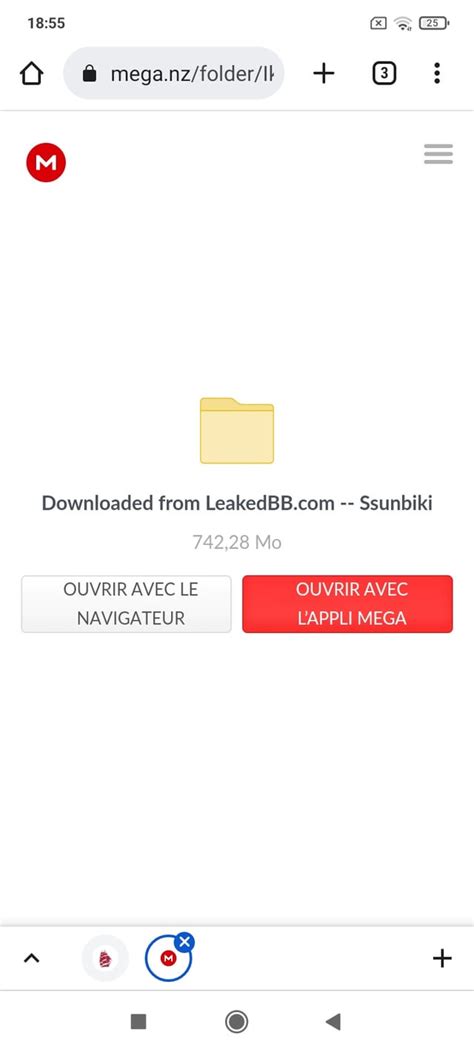 SSUNBIKI MEGA LINK