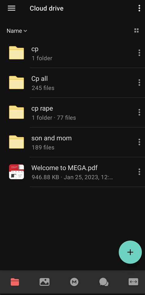 Every Mega Folder You Need