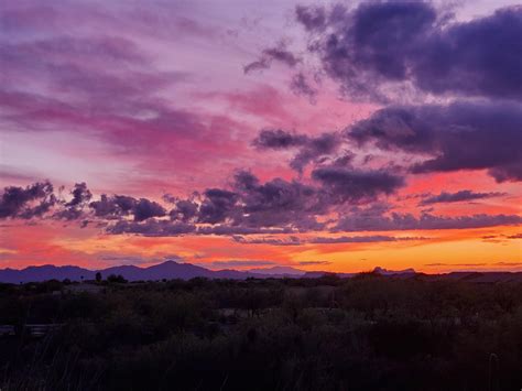 🔥ARIZONA SKY🔥36.8 GB + PPV’s