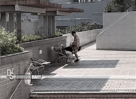 ☂️AMATEUR GIRLS HAVING SEX IN PUBLIC ☂️