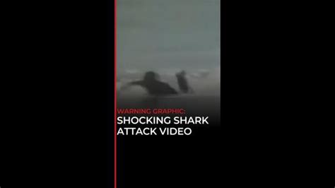 Sharkbae mega leaks