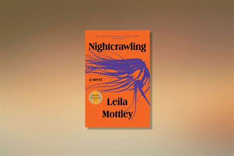 ❣️night-crawling-collection❣️