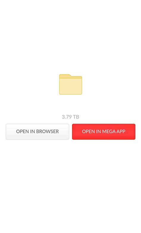 ⭐ BULK ONLYFANS GIRLS PACK MEGA LINK - 1.04 TB ⭐