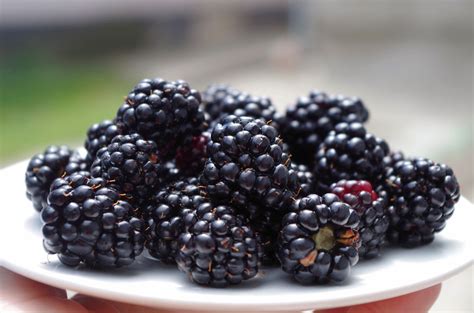 Blackberry Sweet Juice MEGA LINK