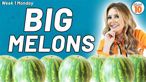 MzMamma Melons (themelonmamma - mzmammamelons) Her (OF) 10GB Updated Collection